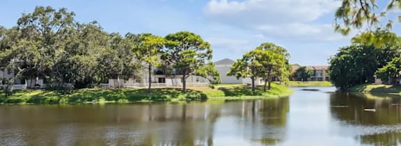 a body of water with houses and trees on the side