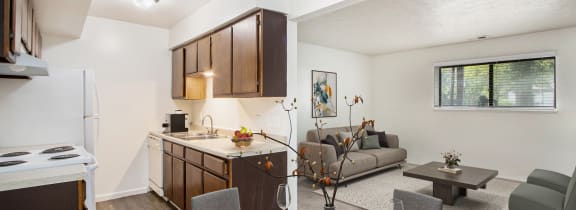the preserve at ballantyne commons apartment living room and kitchen