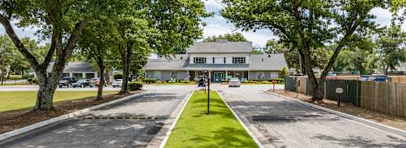A tree-lined street with a white building in the background.
