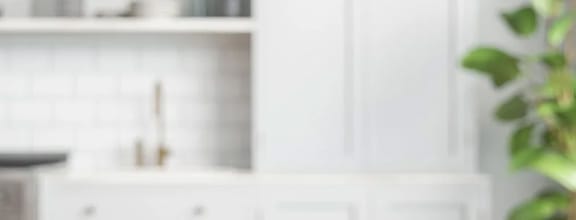 a white kitchen with a green plant in the foreground