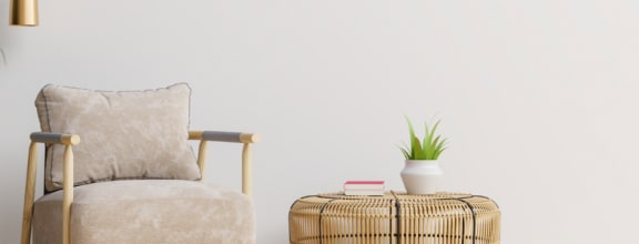 a living room with a chair and a plant
