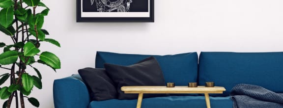 a living room with a blue couch and a green plant