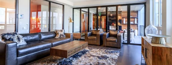 a living room filled with furniture and a large rug at Napoleon Apartments, Washington