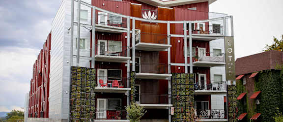 The Lotus property image