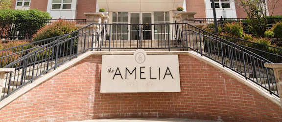 Amelia property image