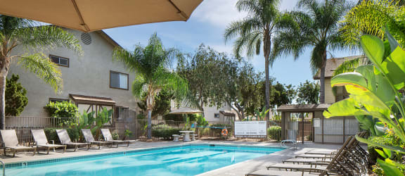 Canyon Run Apartments property image