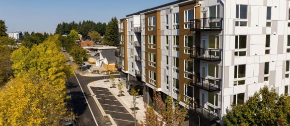 The Duo property image