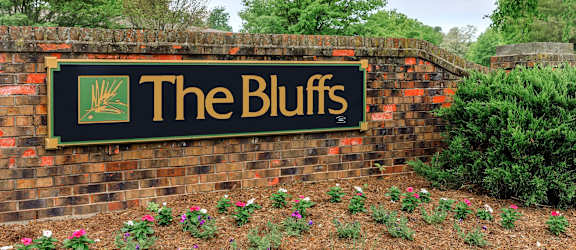 The Bluffs property image