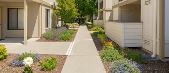 Camino Creek property image