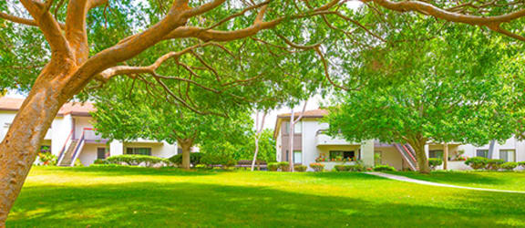 Village Park Apartments property image