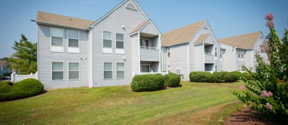 New Forest Apartments property image