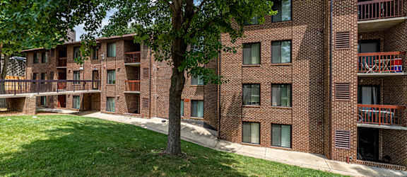 Ivy City property image