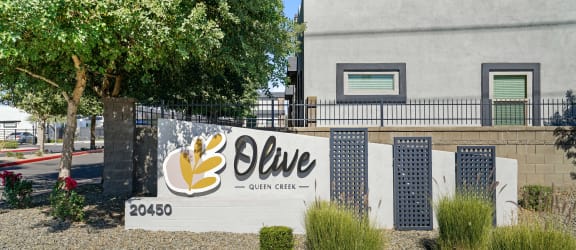 Olive Queen Creek property image