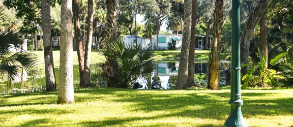 Julia Mobile Homes property image