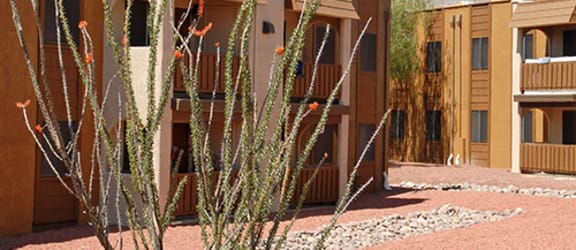 Elevation Apartments property image