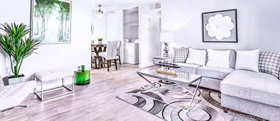 Accent on Rainbow property image