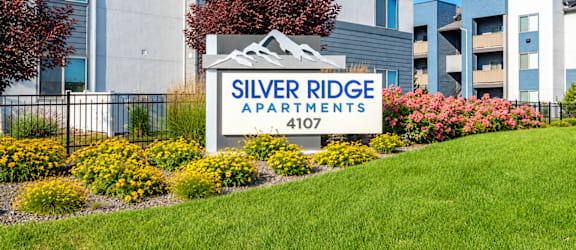 Silver Ridge property image