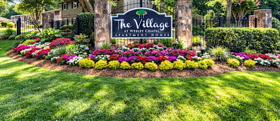 The Village at Wesley Chapel property image