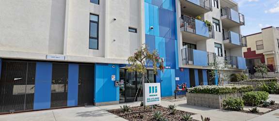 Palms Blue by Wiseman property image
