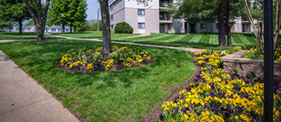 Ashley Apartments property image