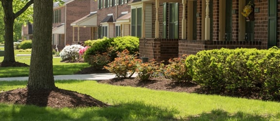 Chaddwell Apartments property image