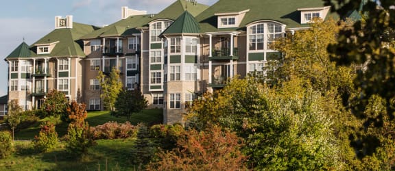 The Pinnacle Apartments property image