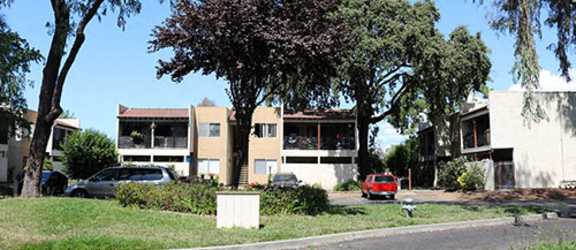 Pinecrest Apartments property image