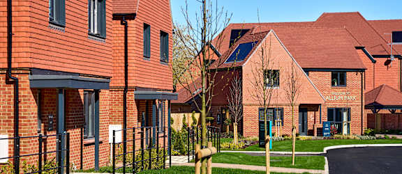 Allium Park property image