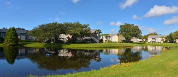 Small lake on property at Aventine Forest Lakes Oldsmar Tampa Florida