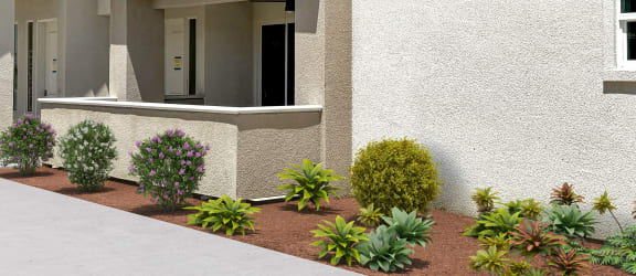a row of plants in front of a building