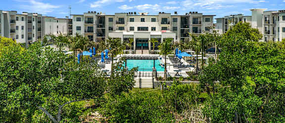 an aerial view of the pool