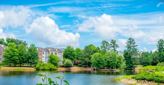 Scenic Lake View