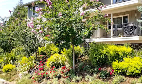 Los Gatos Heights property image