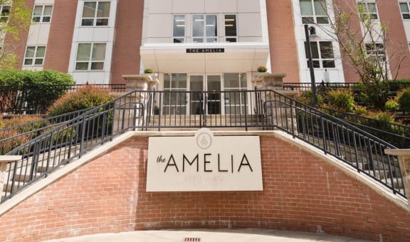 Amelia property image