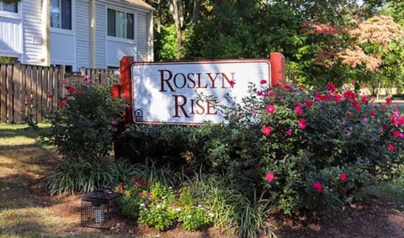 Roslyn Rise property image