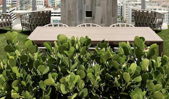 SkyHouse Channelside property image
