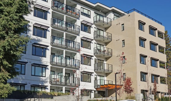 The Saint George property image