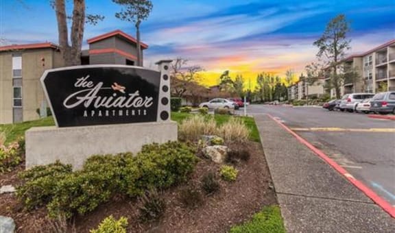 The Aviator Apartments property image