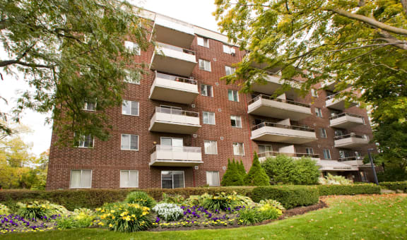 Dorchester Apartments property image