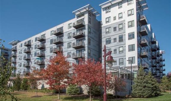 71 France property image