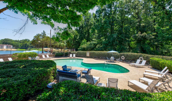 Elite at City View property image