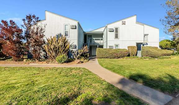Hill Valley property image