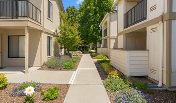 Camino Creek property image