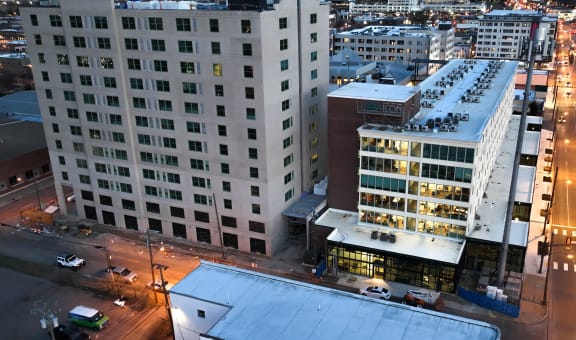 The Icon property image