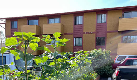 Nicole Apartments property image