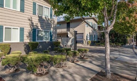 Buena Vista Apartments property image