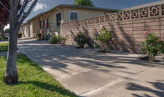 Chestnut & Hedding Apartments property image