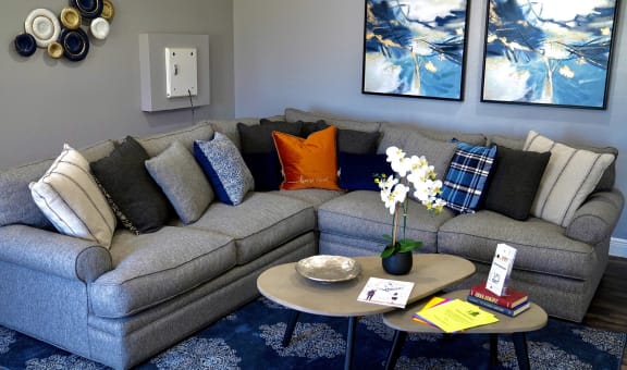 Steeplechase property image