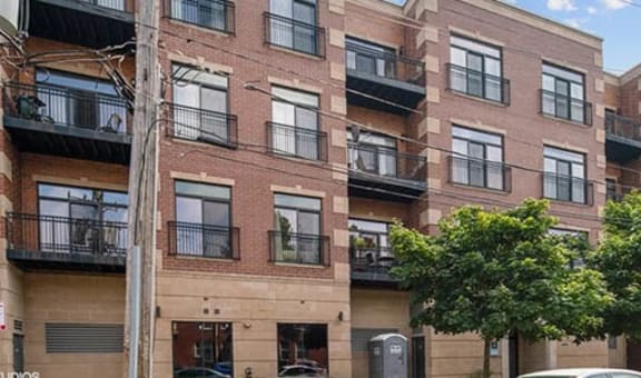 4651 N Greenview property image