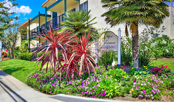 Copa Triana Apartments property image
